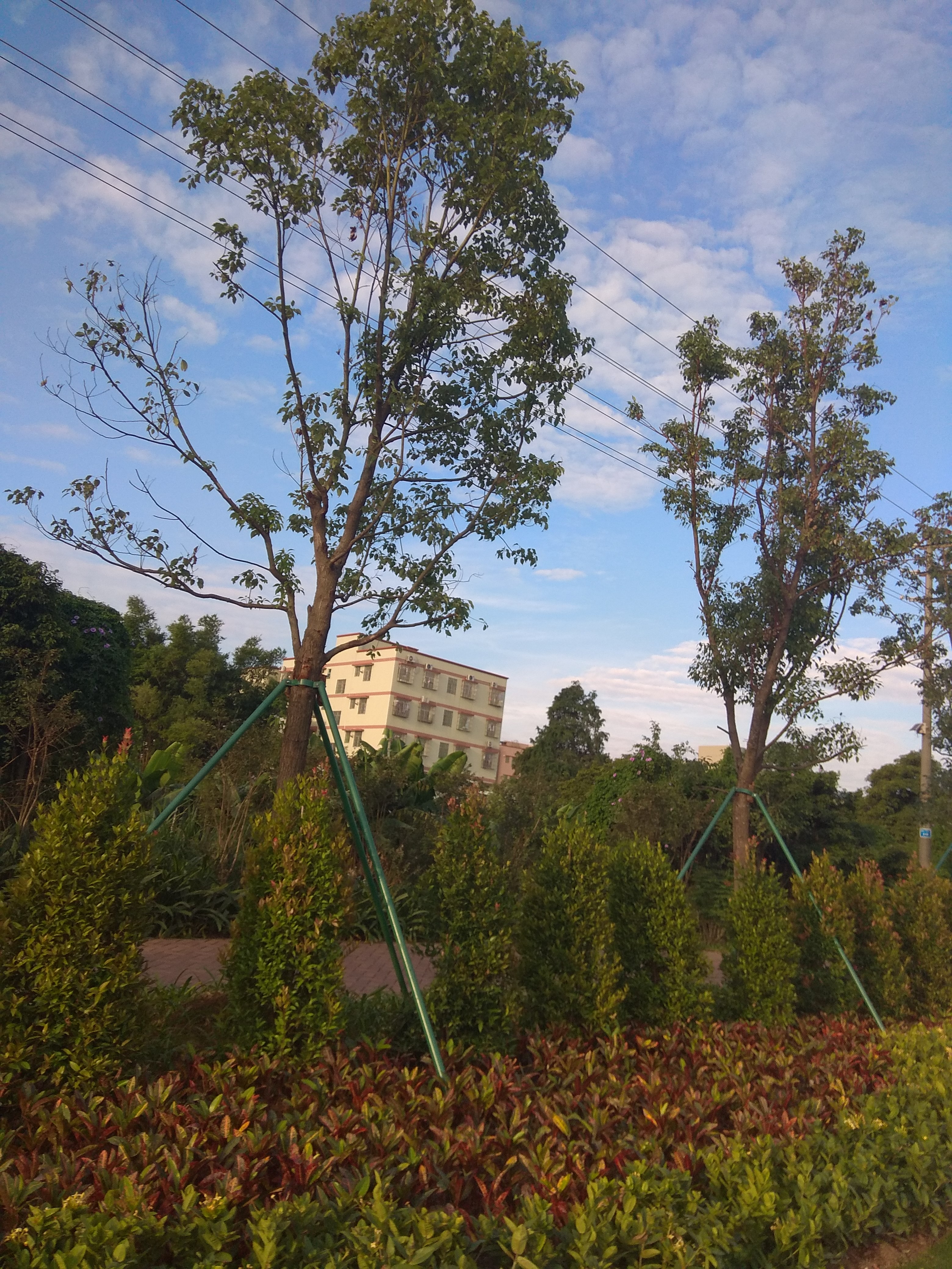 珠海的早晨